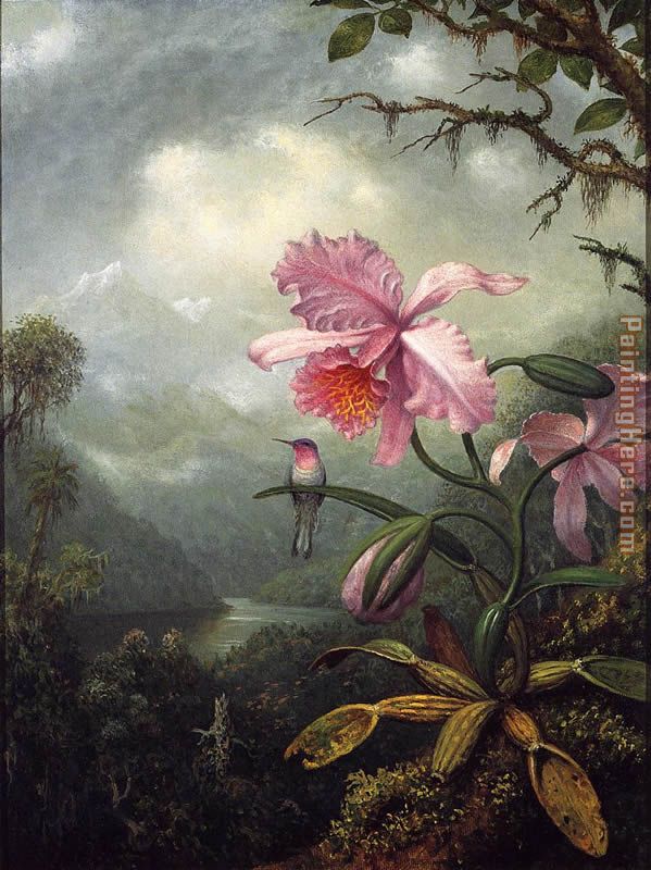 Hummingbird Perched on an Orchid Plant painting - Martin Johnson Heade Hummingbird Perched on an Orchid Plant art painting